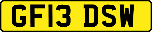 GF13DSW