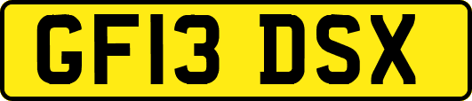 GF13DSX