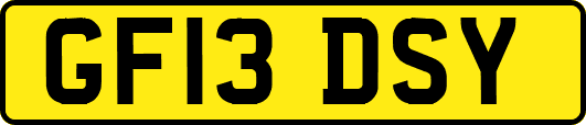 GF13DSY