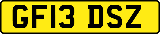 GF13DSZ