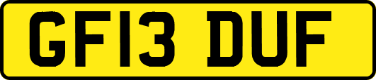GF13DUF