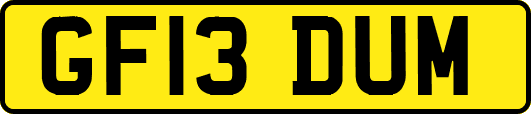 GF13DUM