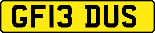 GF13DUS