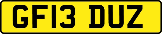 GF13DUZ