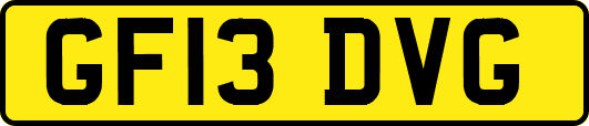 GF13DVG