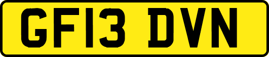 GF13DVN