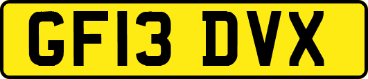 GF13DVX