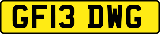 GF13DWG
