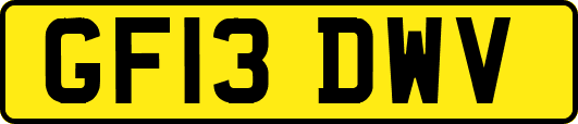 GF13DWV