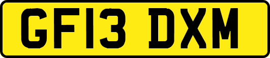 GF13DXM