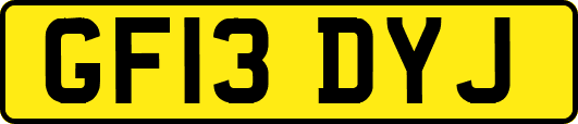 GF13DYJ