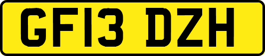 GF13DZH
