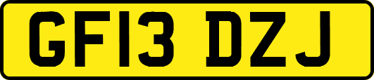 GF13DZJ