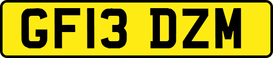 GF13DZM