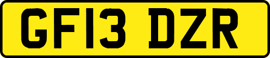 GF13DZR