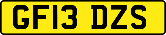 GF13DZS