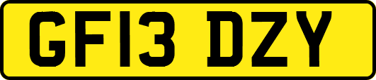 GF13DZY