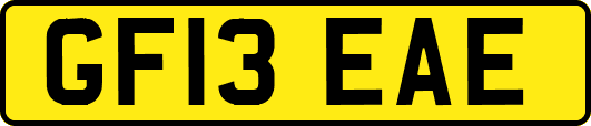GF13EAE
