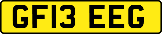 GF13EEG
