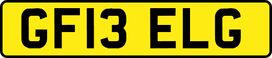 GF13ELG