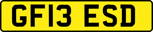 GF13ESD