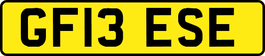 GF13ESE