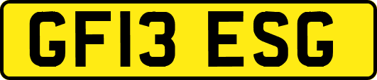 GF13ESG