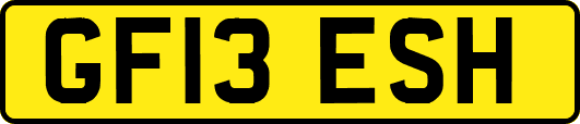 GF13ESH