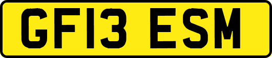 GF13ESM