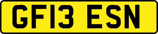 GF13ESN