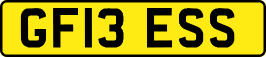 GF13ESS