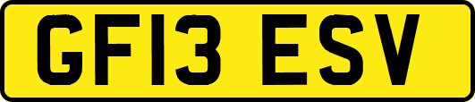 GF13ESV