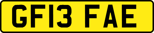 GF13FAE