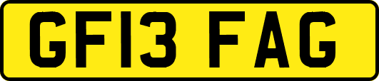 GF13FAG