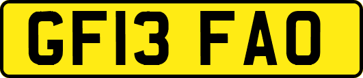 GF13FAO