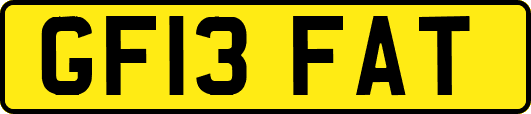 GF13FAT