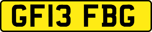 GF13FBG