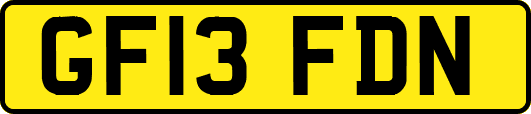 GF13FDN