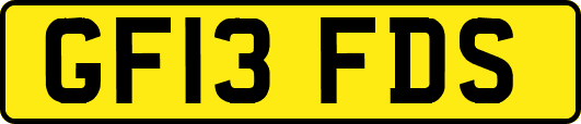 GF13FDS
