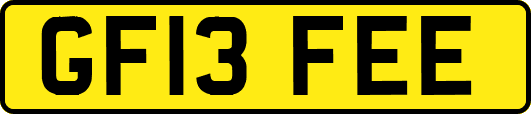 GF13FEE