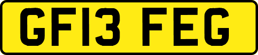 GF13FEG