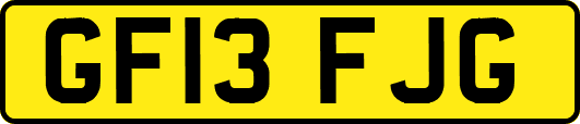 GF13FJG