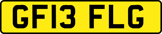 GF13FLG