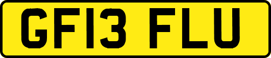 GF13FLU