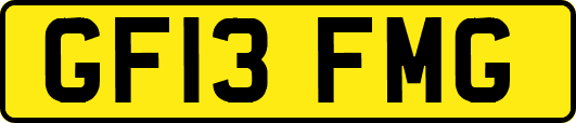 GF13FMG