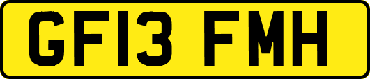 GF13FMH