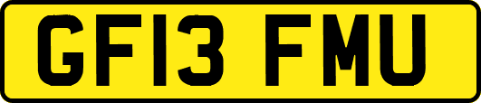 GF13FMU
