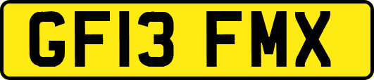 GF13FMX