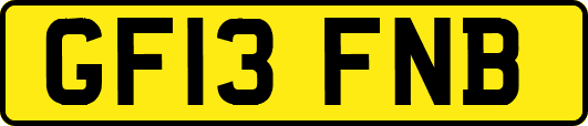GF13FNB