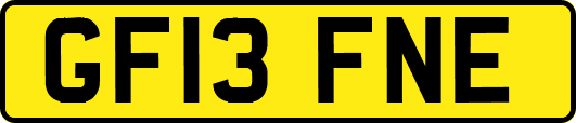 GF13FNE